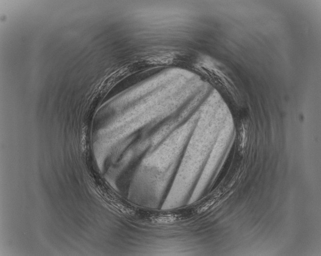 X0000073890600200609011655