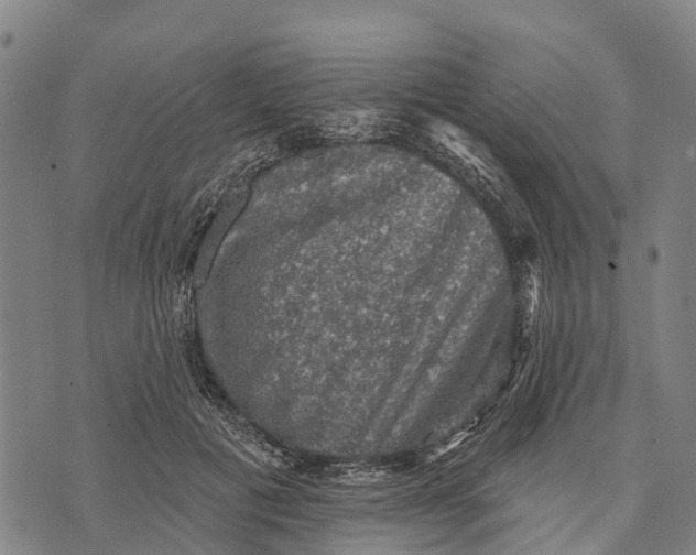 X0000073890601200609011655