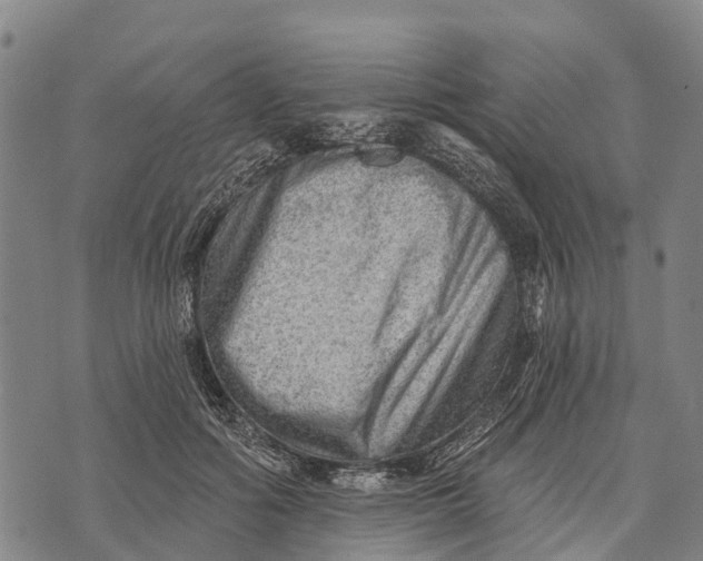 X0000073890602200609011655