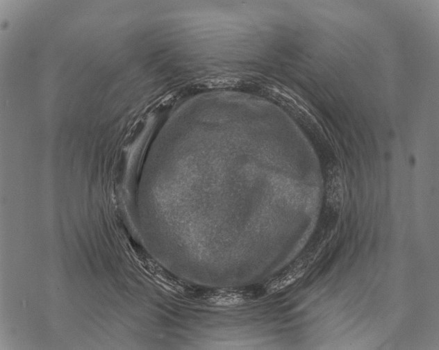 X0000073890604200609011655