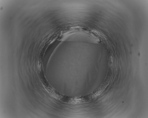 X0000073890607200609011655