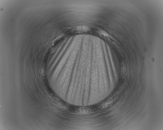 X0000073890608200609011655