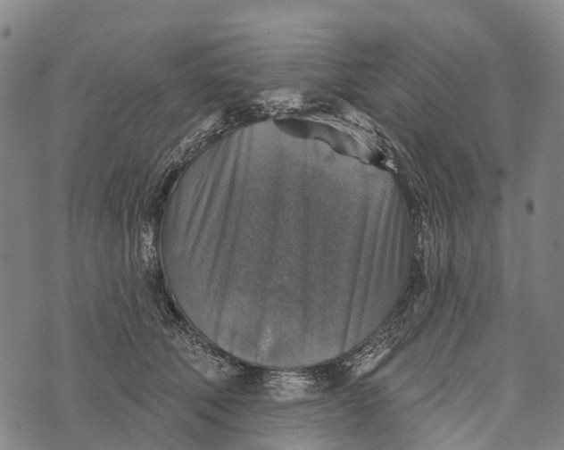 X0000073890610200609011655