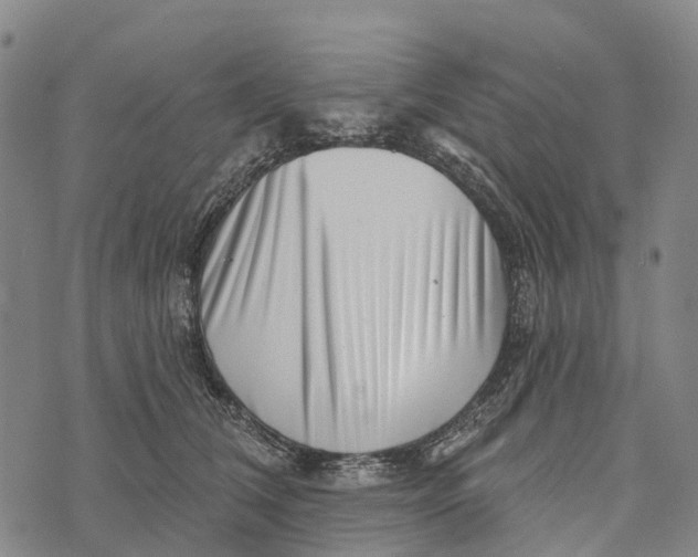 X0000073890612200609011655