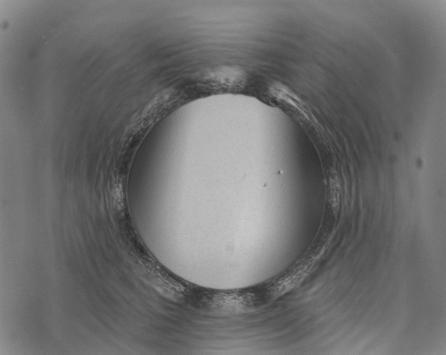 X0000073890613200609011655