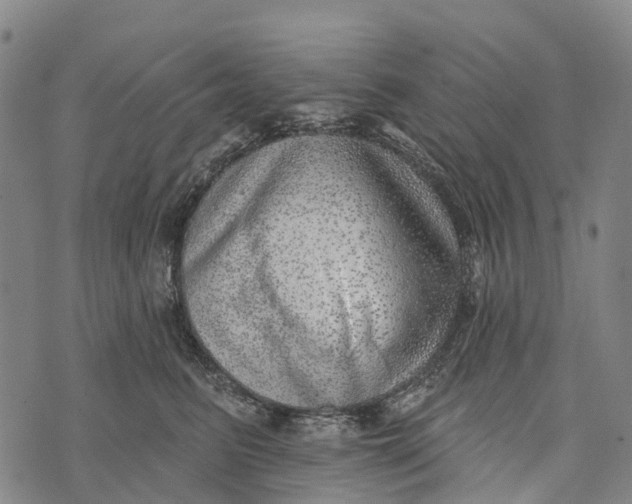 X0000073890615200609011655