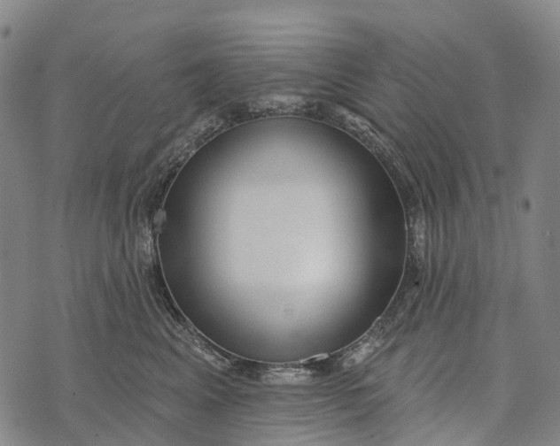 X0000073890617200609011655