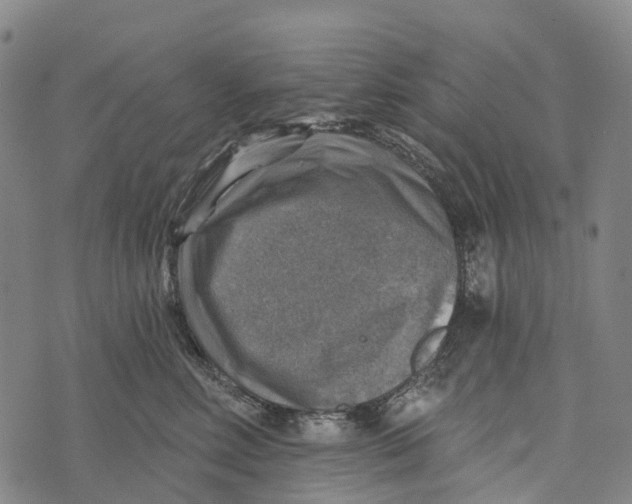 X0000073890618200609011655