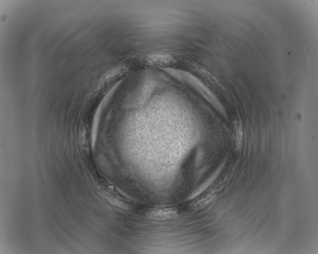 X0000073890619200609011655