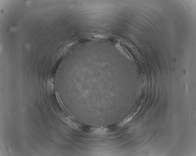 X0000073890621200609011655