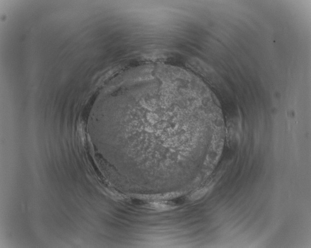 X0000073890623200609011655