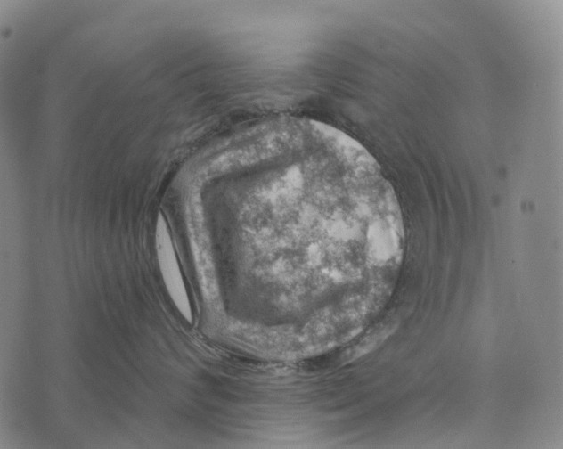 X0000073890624200609011655