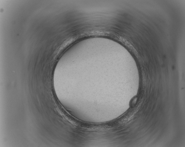 X0000073890625200609011654