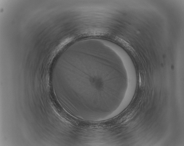 X0000073890627200609011654