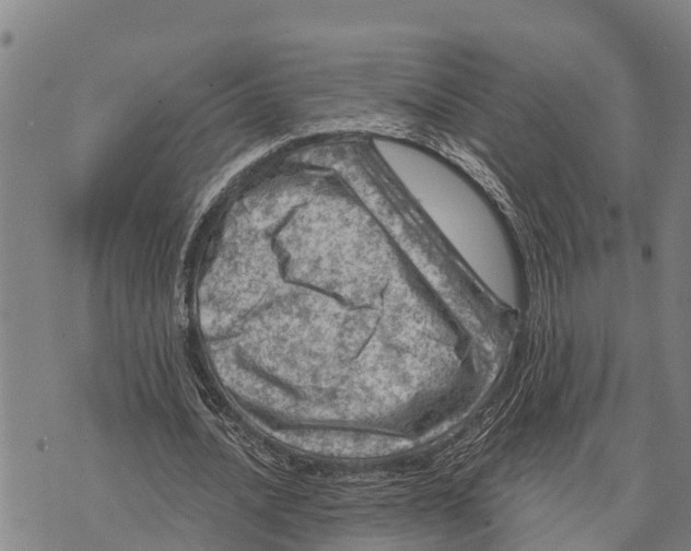 X0000073890628200609011654