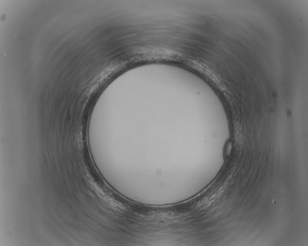 X0000073890629200609011654