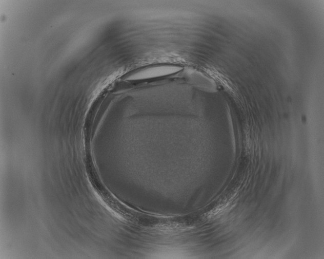 X0000073890630200609011654