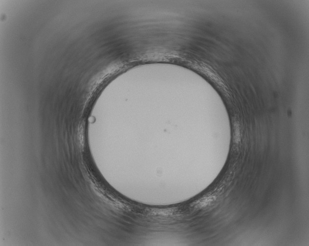 X0000073890632200609011654