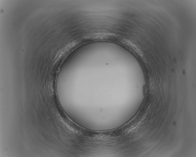 X0000073890633200609011654