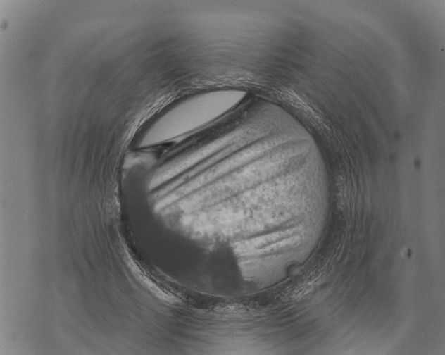 X0000073890634200609011654