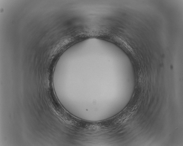 X0000073890635200609011654