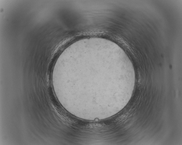 X0000073890636200609011654