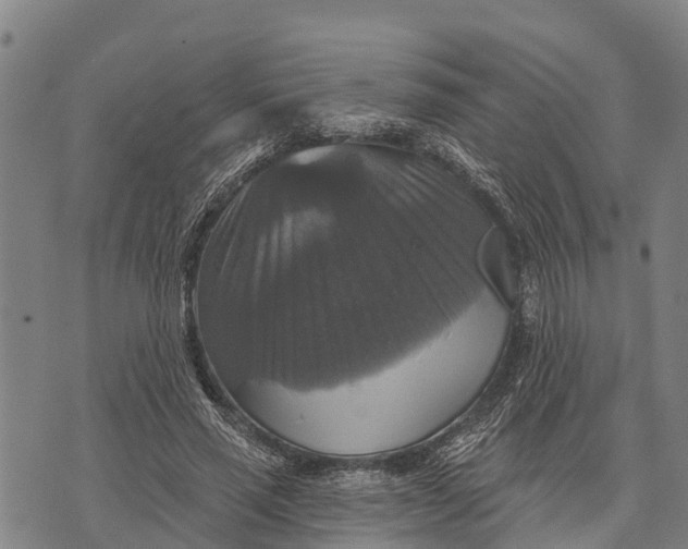 X0000073890637200609011654