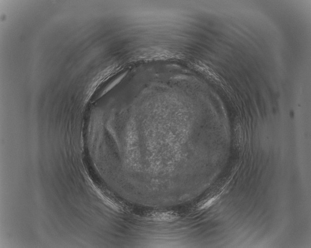 X0000073890638200609011654