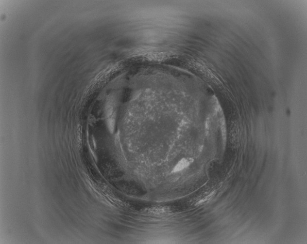 X0000073890639200609011654