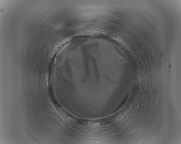 X0000073890640200609011654