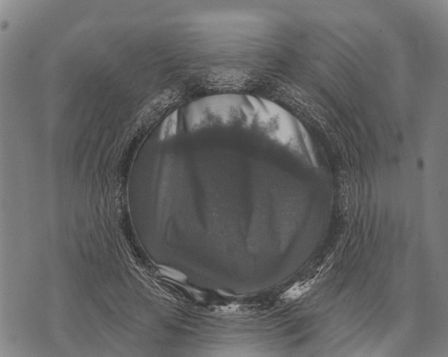 X0000073890641200609011654