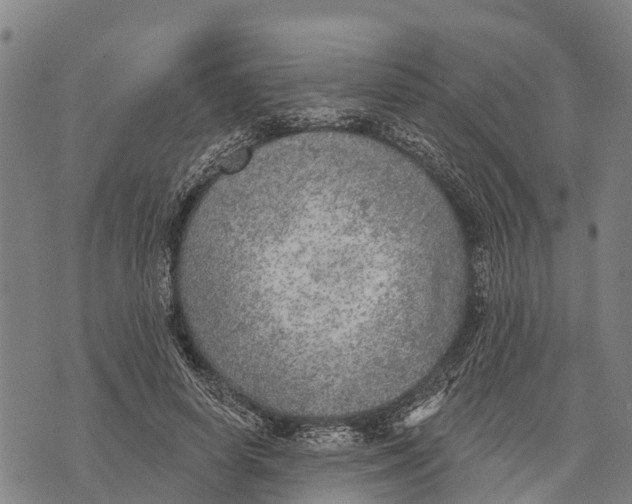 X0000073890642200609011654