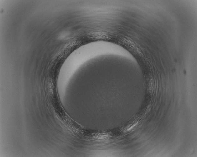 X0000073890643200609011654