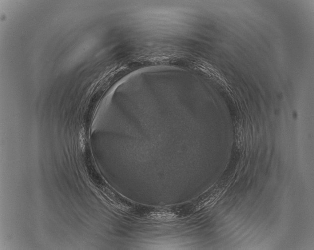 X0000073890644200609011654