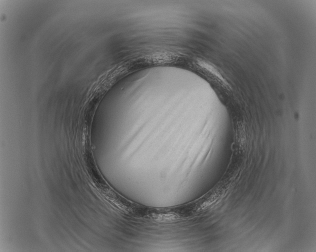 X0000073890645200609011654