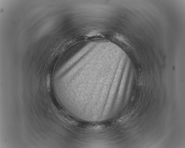 X0000073890646200609011654