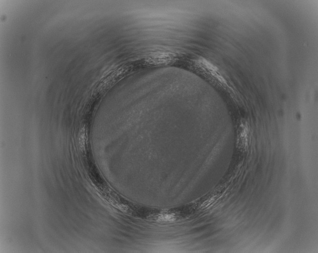 X0000073890647200609011654