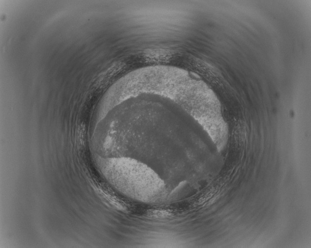 X0000073890649200609011654