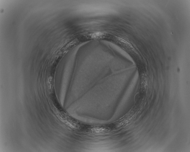 X0000073890650200609011654