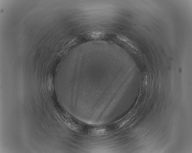 X0000073890651200609011654