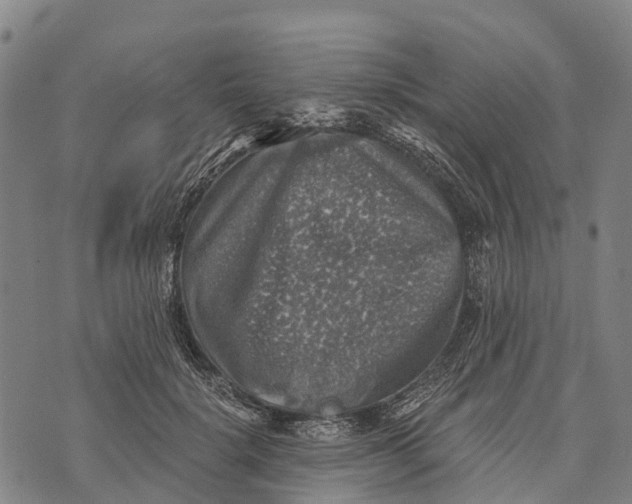 X0000073890652200609011654