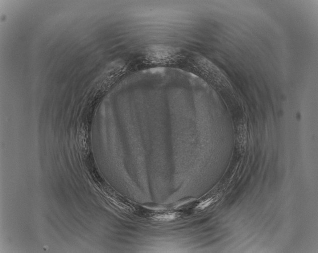 X0000073890653200609011654