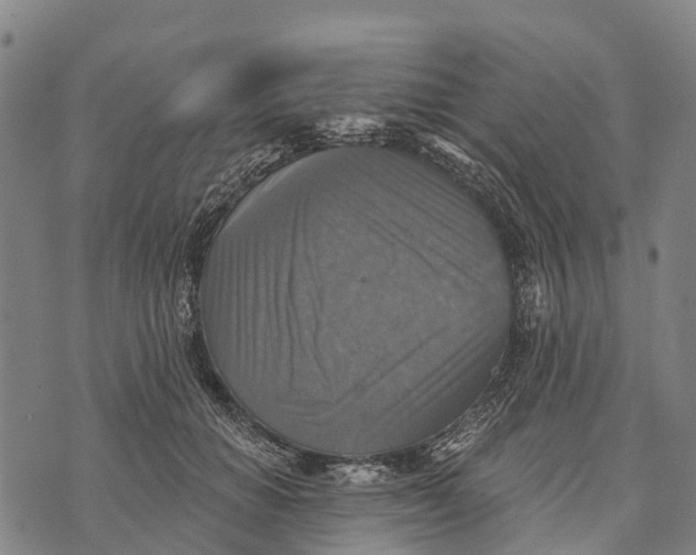 X0000073890654200609011654