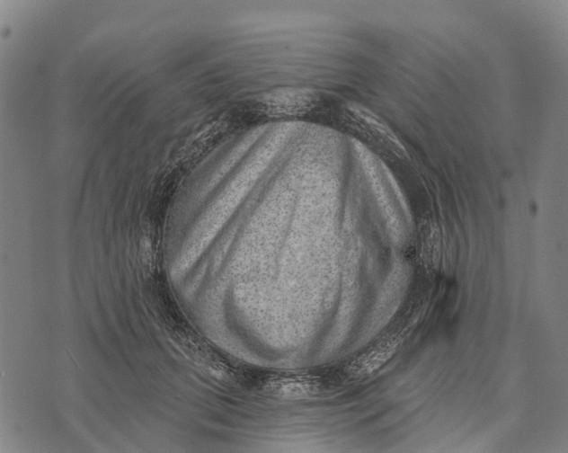 X0000073890655200609011654