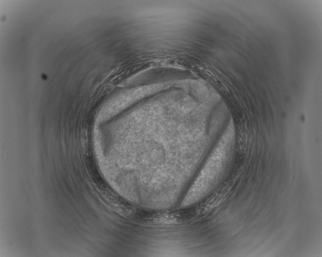 X0000073890656200609011654