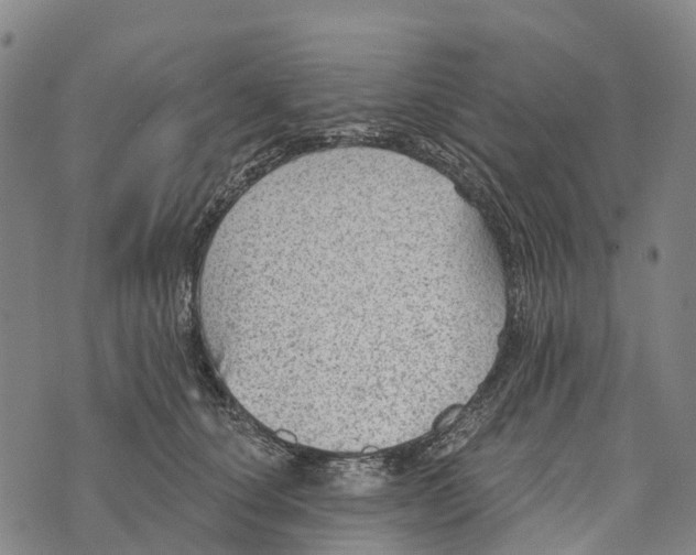 X0000073890660200609011654