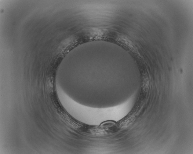 X0000073890661200609011654