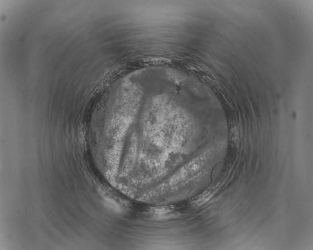 X0000073890662200609011654