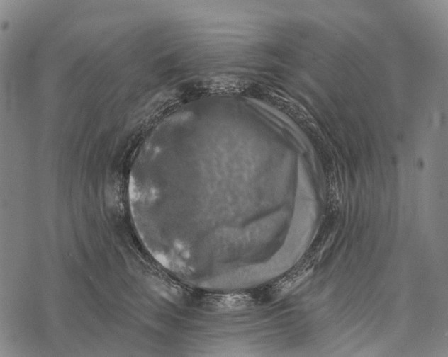 X0000073890663200609011654