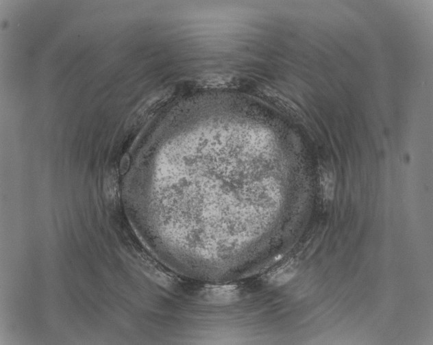 X0000073890665200609011654